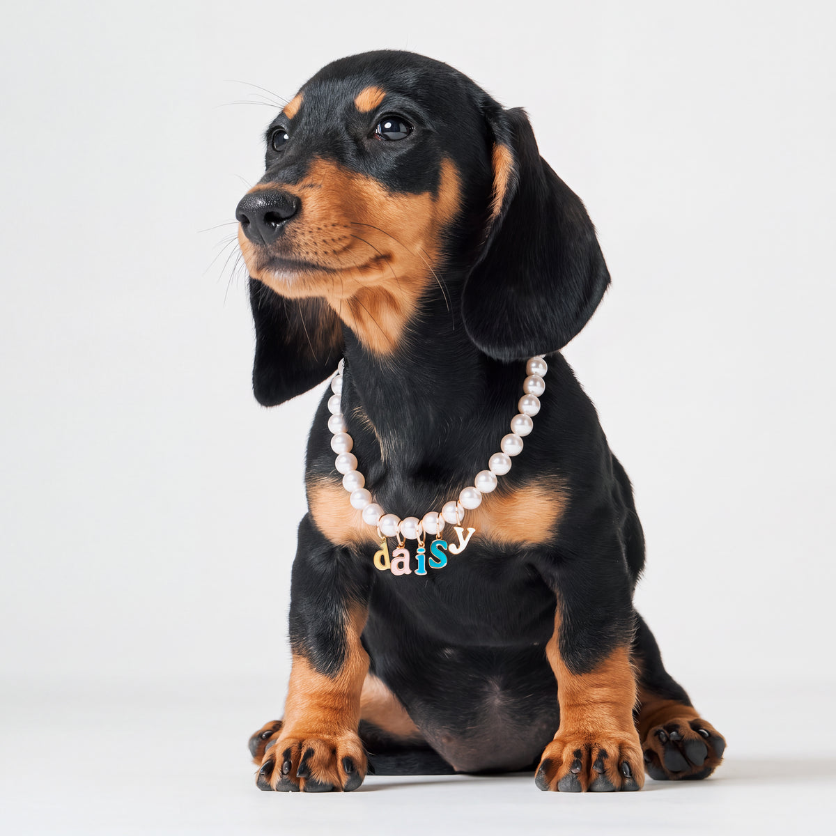 Breakaway Faux Pearl for Dogs