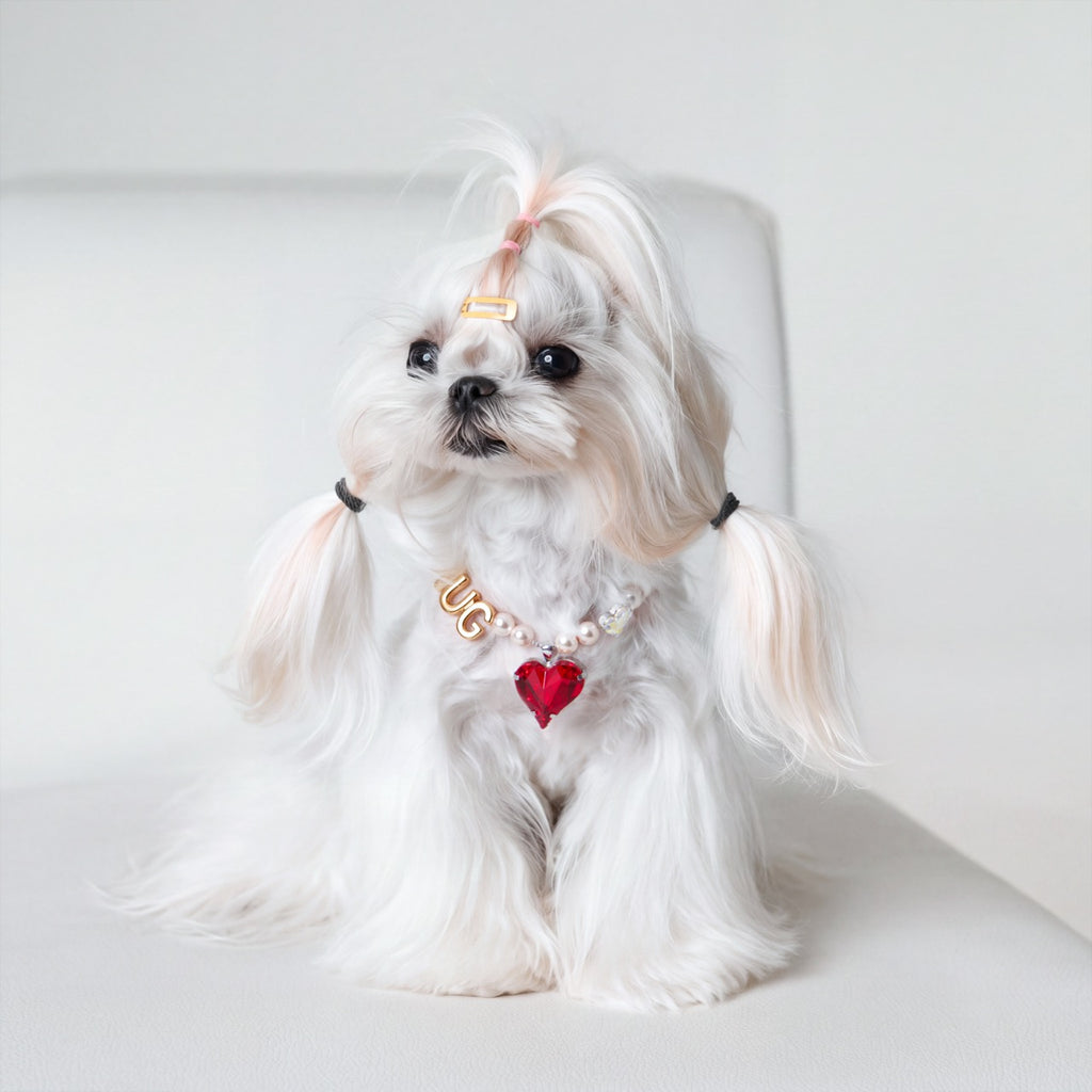 Heart to Heart Necklace for Dogs