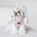 Heart to Heart Necklace for Dogs