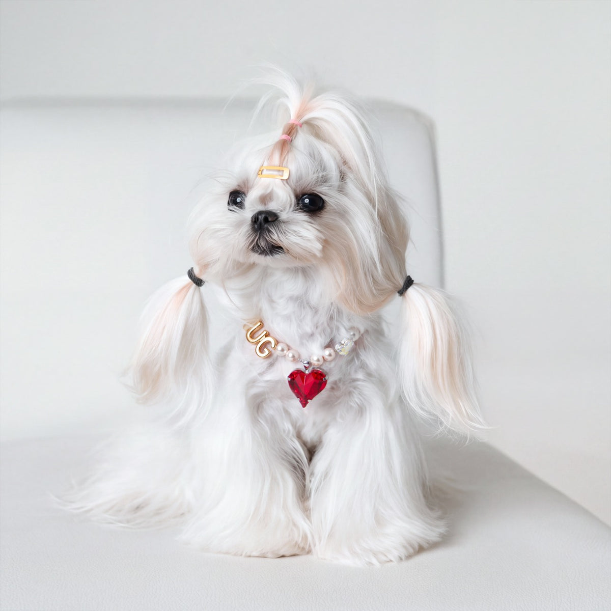 Heart to Heart Necklace for Dogs