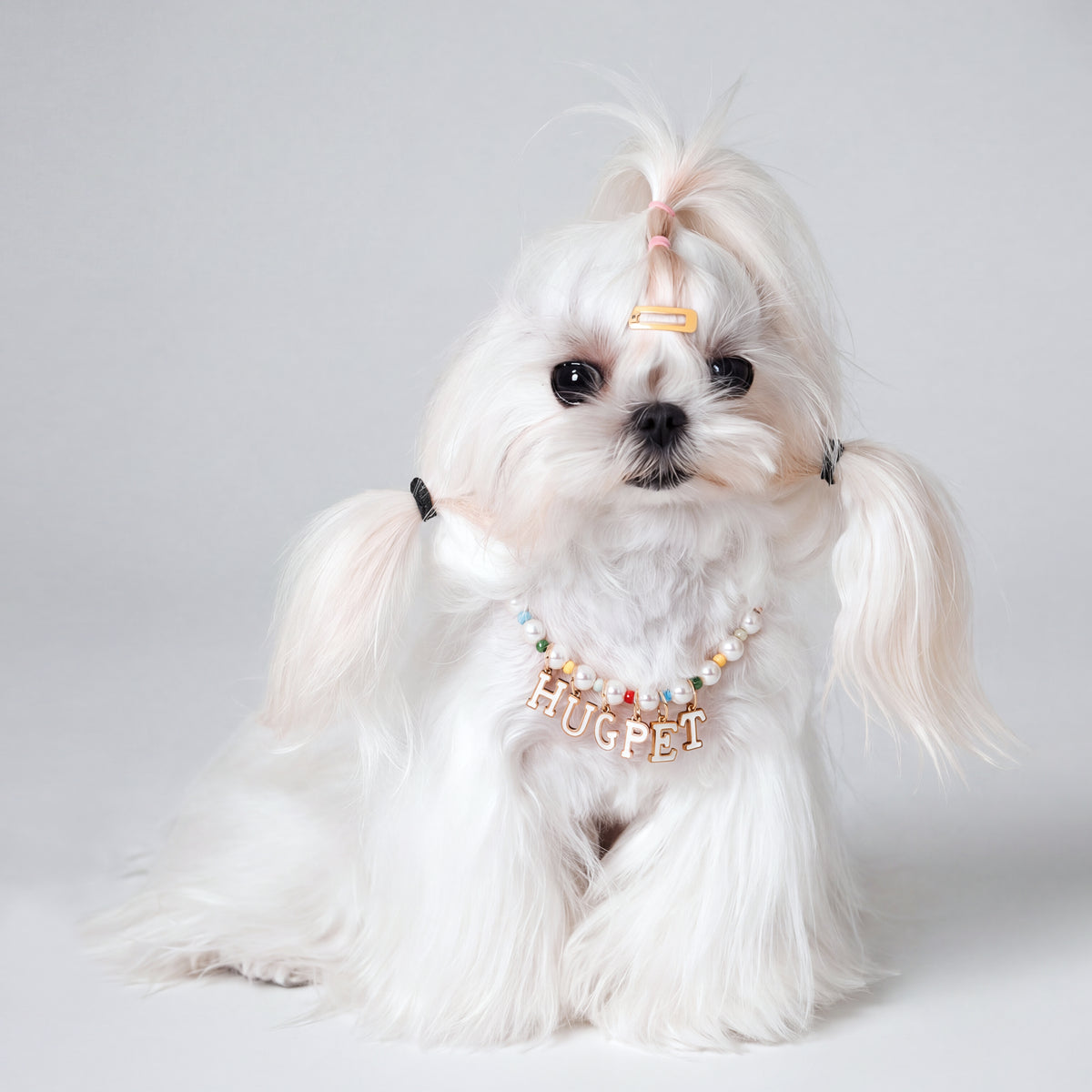 Personalizable Peal Pop Necklace for Dogs
