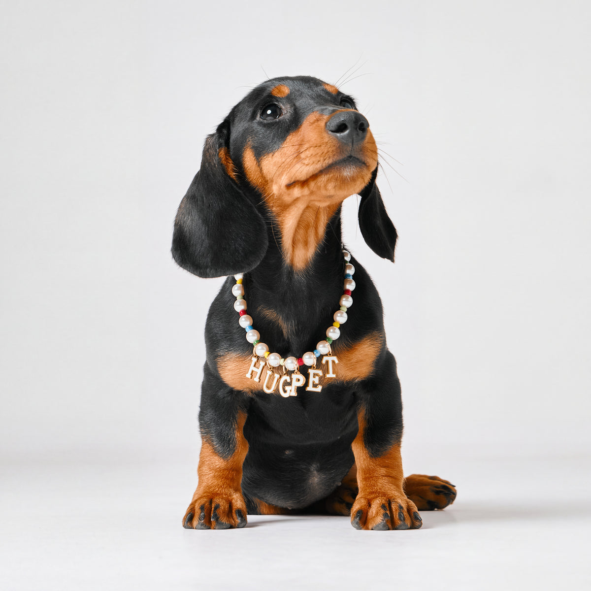 Personalizable Peal Pop Necklace for Dogs