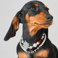 Snowy Day Necklace for Dogs
