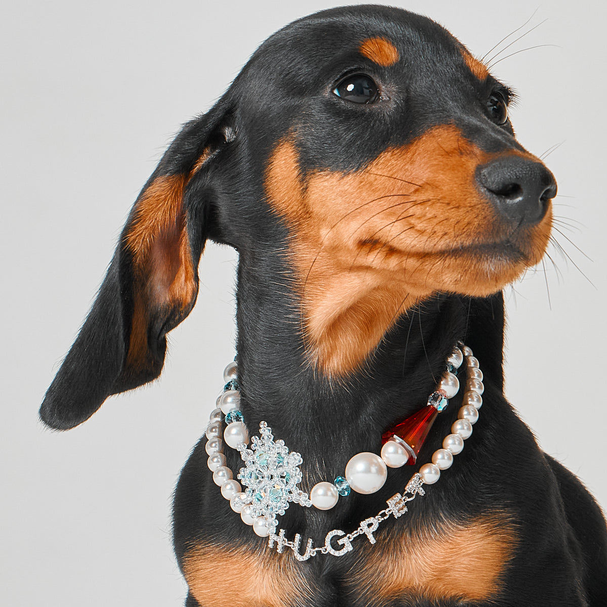 Snowy Day Necklace for Dogs