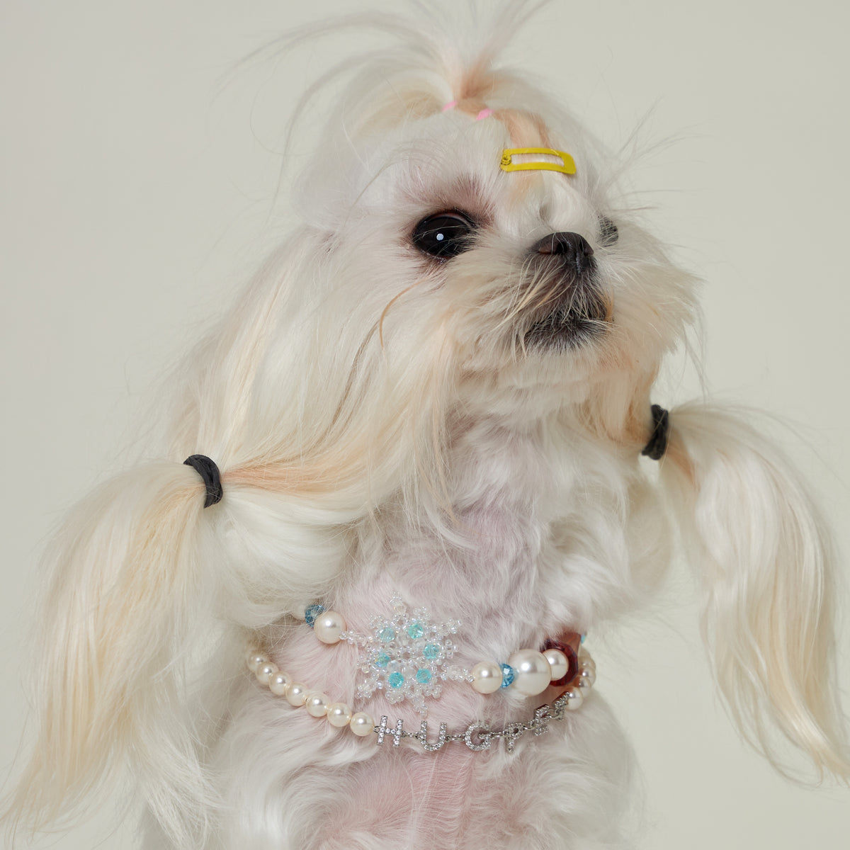 Snowy Day Necklace for Dogs