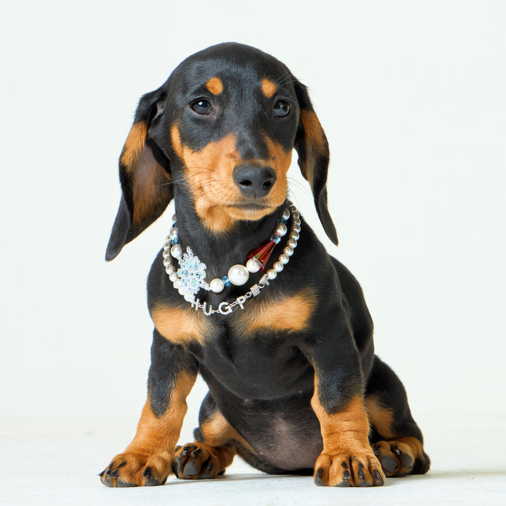 Snowy Day Necklace for Dogs