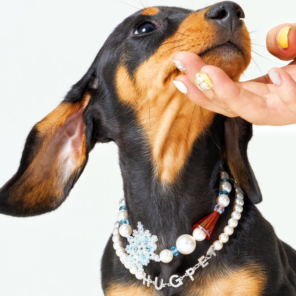 Snowy Day Necklace for Dogs
