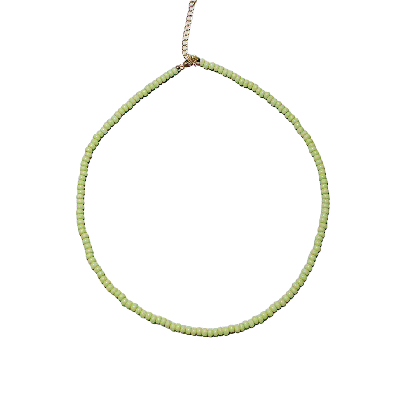 Custom Fruit Necklace