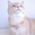 Heart to Heart Necklace for Cats