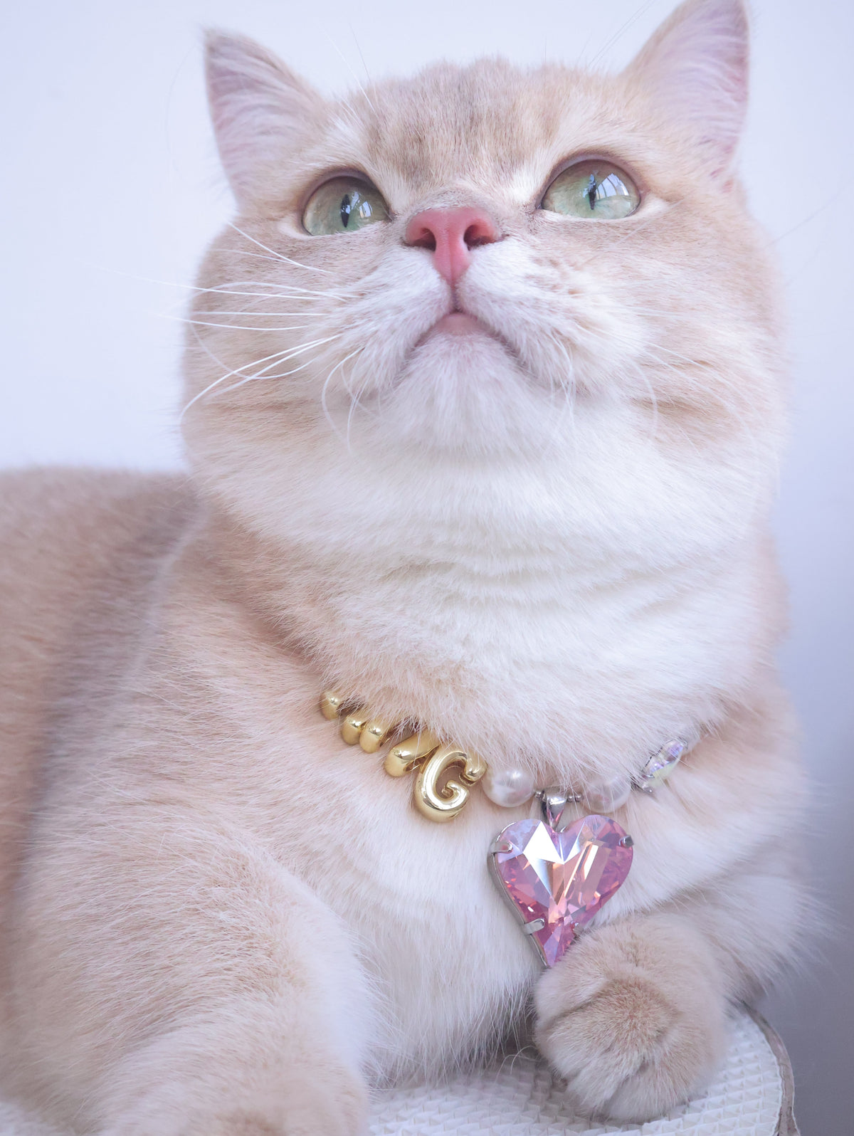 Heart to Heart Necklace for Cats