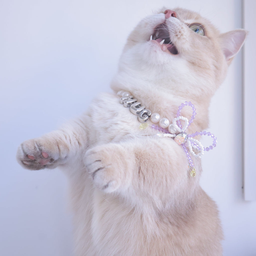 Little Gift Necklace for Cats