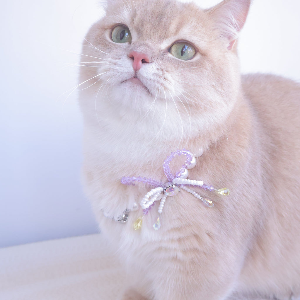 Little Gift Necklace for Cats
