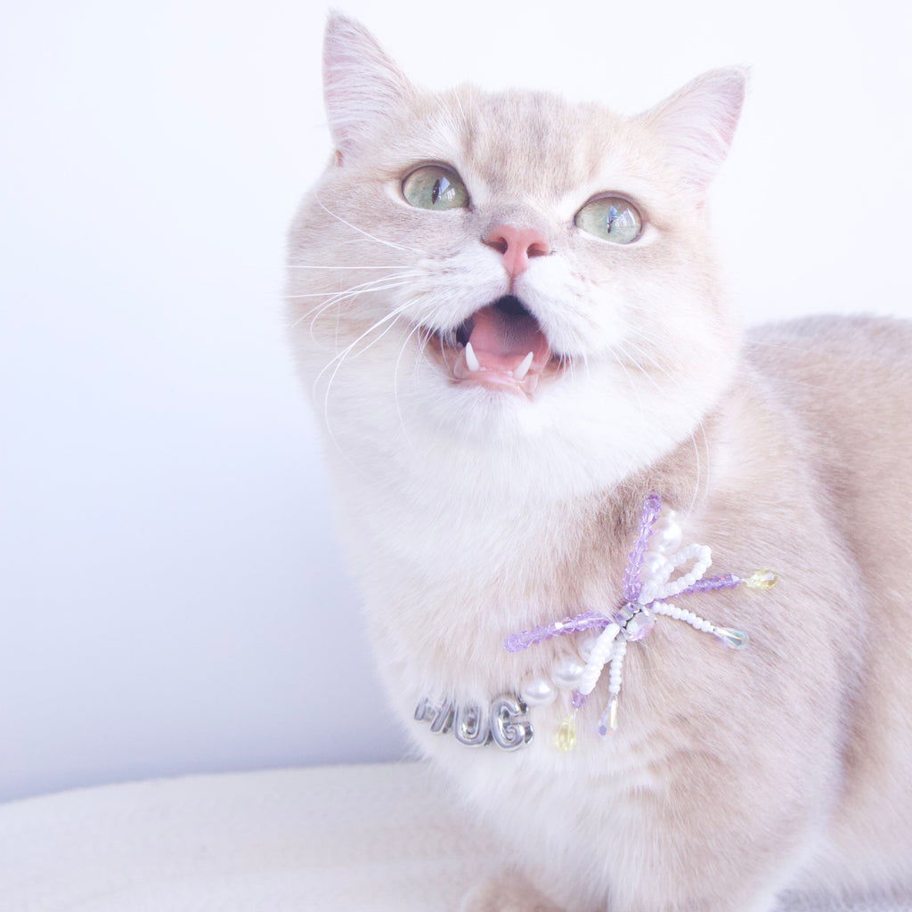 Little Gift Necklace for Cats