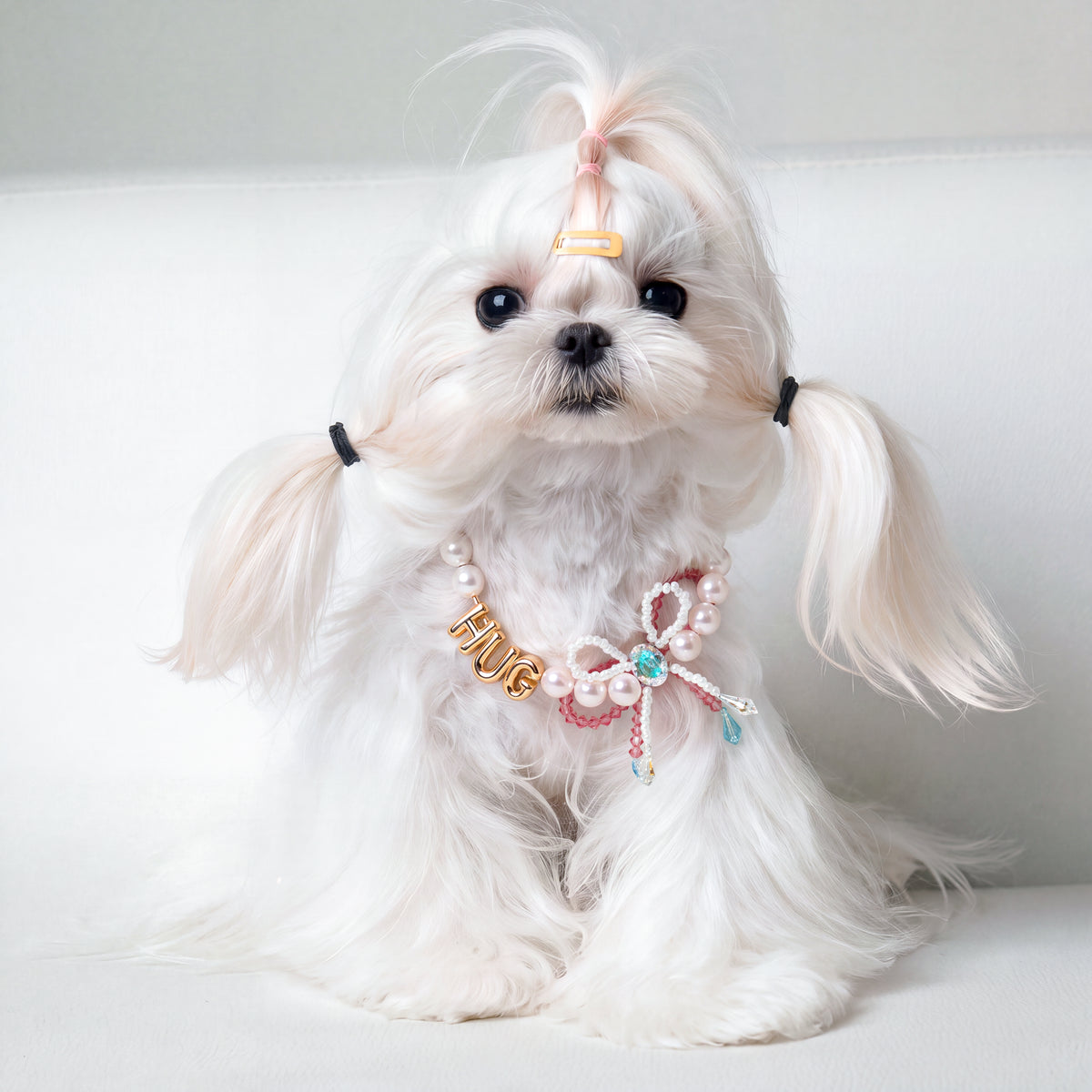 Little Gift Necklace for Dogs
