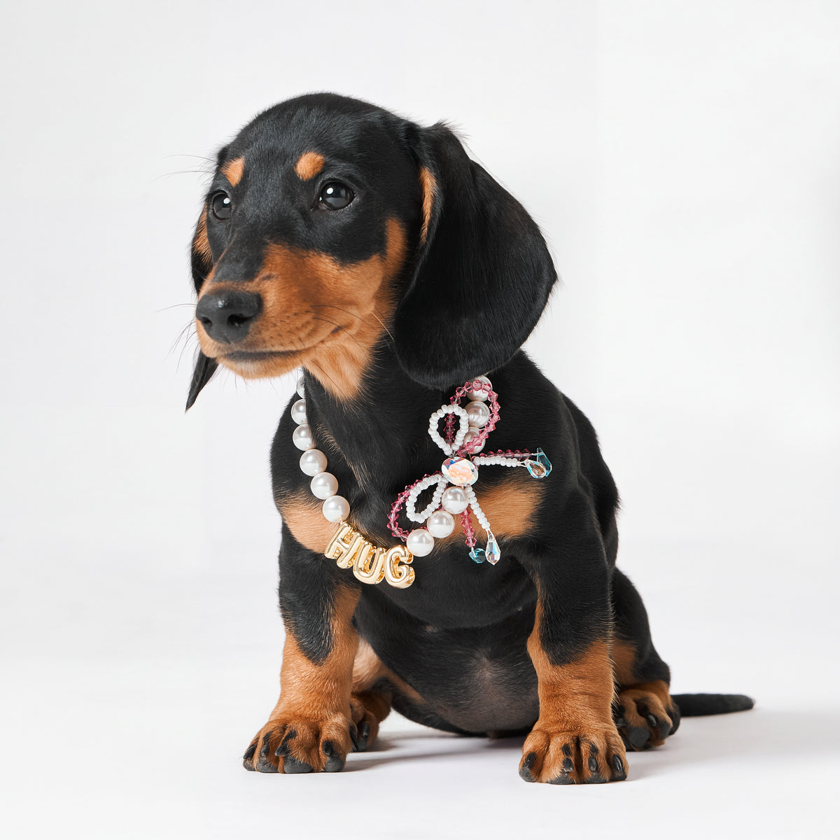 Little Gift Necklace for Dogs
