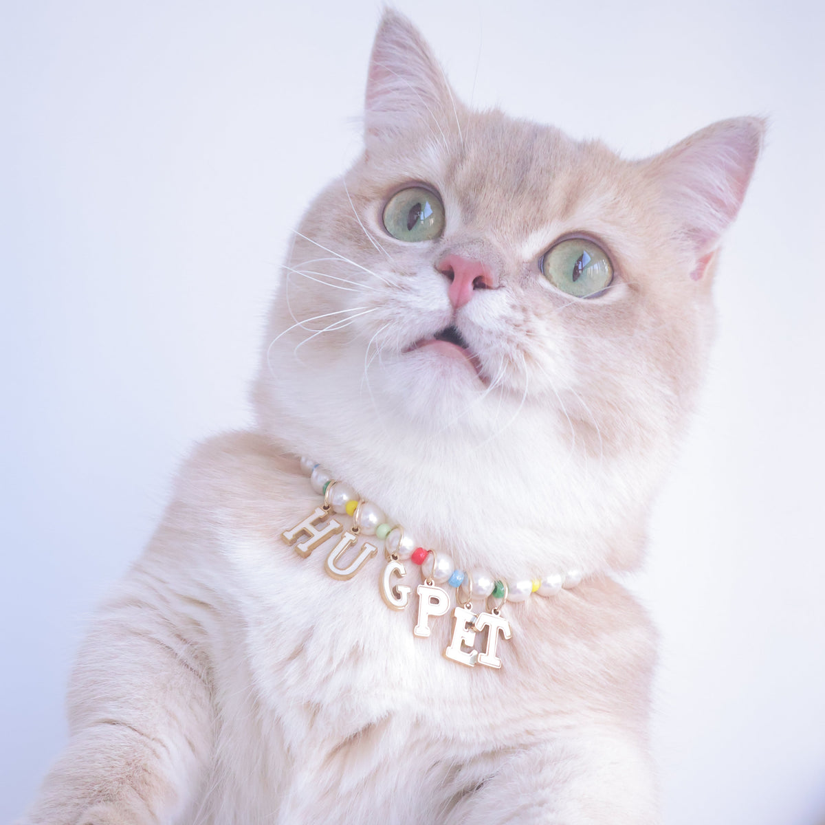 Customizable Pearl Pop Necklace for Cats