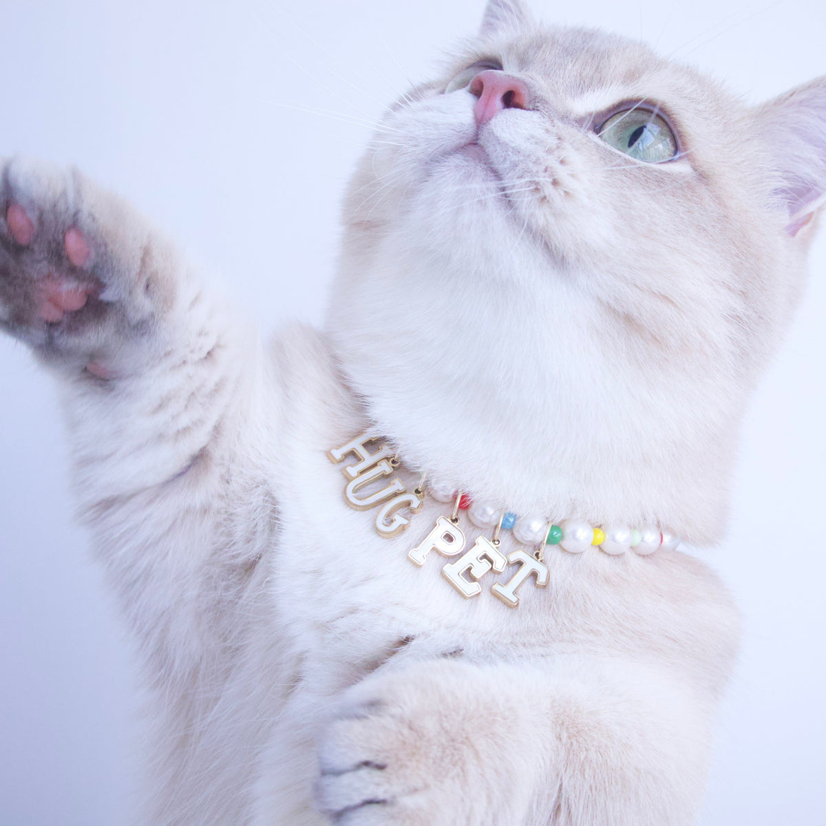 Customizable Pearl Pop Necklace for Cats